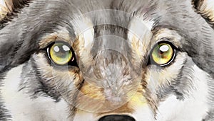 Eyes of a wolf watercolour illustration closeup