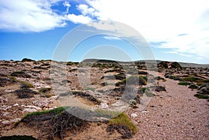 Eyre Peninsula, Atop the Cliffs