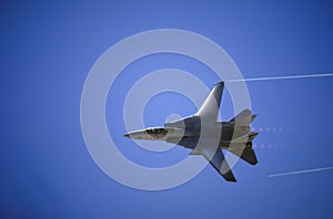 F-14 Tomcat photo