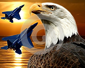 F-15 Falcon and Bald Eagle
