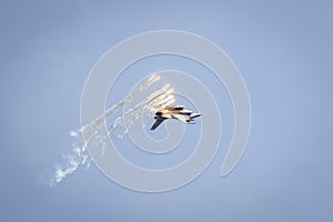F 16, Polish forces