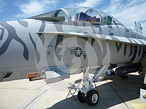 F18 Hornet Cockpit