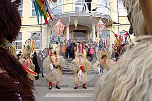 FaÃÂ¡enk 2019, Markovci Near Ptuj, Slovenia