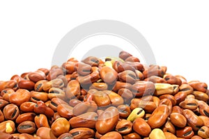 Faba fava beans