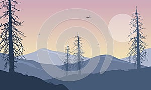 Fabolous scenery trees and mountains in the morning. Vector illustration