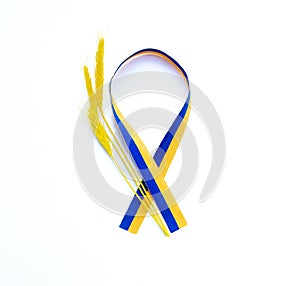 Fabric curved in yellow-blue ribbon on white background with spikelets. Colours of national flag of Ukraine and ears of wheat are