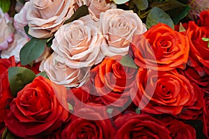 Fabric Pink and red roses