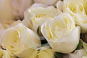 Fabric Roses Background