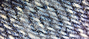 fabric texture microscope view