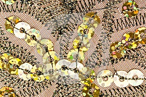 Fabric texture with spangles