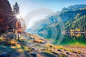 Fabulous autumn scene of Vorderer  Gosausee  lake with Dachstein glacieron background. Picturesque morning view of Austrian Alps