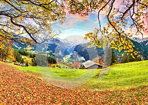 Fabulous autumn view of picturesque alpine Wengen village and Lauterbrunnen Valley