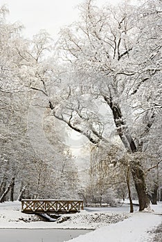 Fabulous beautiful landscape winter snowy park forest.