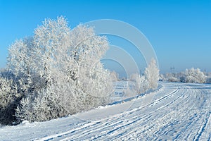 Fabulous hoarfrosted trees and bushes on the side of a rural road