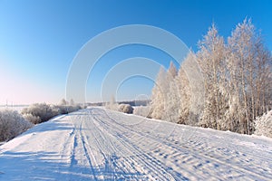 Fabulous hoarfrosted trees and bushes on the side of a rural road