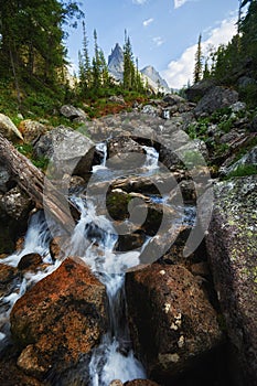 Fabulous mountain streams, lush greenery and flowers around. Thawed spring water from the mountains. Magical views of high