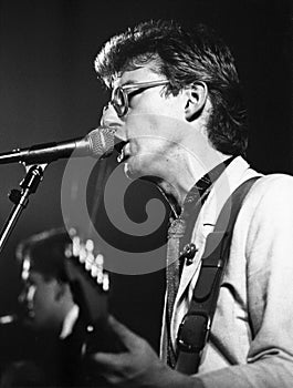 The Fabulous Poodles