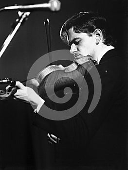 The Fabulous Poodles