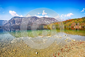 Fabulous  view  of  Bohinj Lake at autumn time