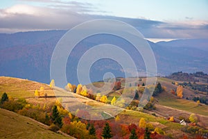 Fabulous view of carpathian countryside in autumn