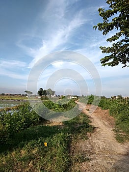 Fabulous view to see at road in the Middle of village