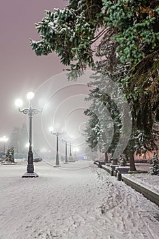 Fabulous winter city park