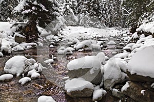 Nádherný zimný les a rieka pod snehom.
