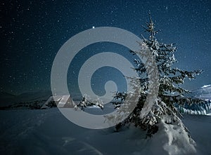 fabulous winter landscape in the mountains at night. Christmas tree under the night starry sky and the milky way