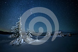 fabulous winter landscape in the mountains at night. Christmas tree under the night starry sky and the milky way