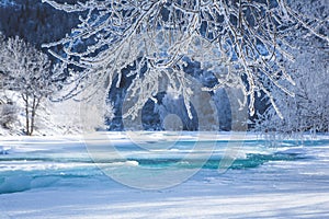 Fabulous winter landscape on the river. Trees in hoarfrost. Bright winter sunny day. Winter in Russia, Altay. Christmas card