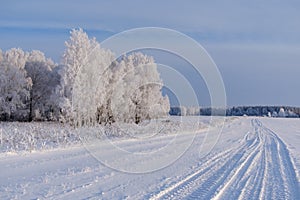 Fabulous winter landscape with white trees