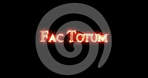 Fac totum written with fire