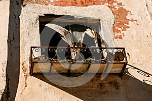 Fachada abandonado edificio lleno a roto cortinas 