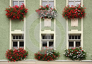 The facade of the building, decorated with flowers