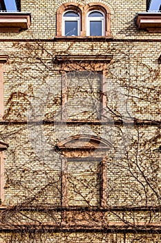 Facade with clinker bricks