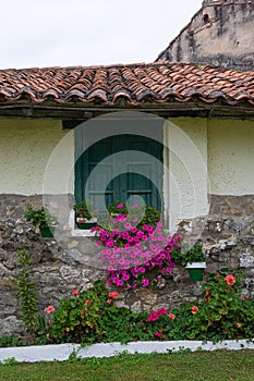 Facade of country house with green window, flowers and vegetation, vertically,