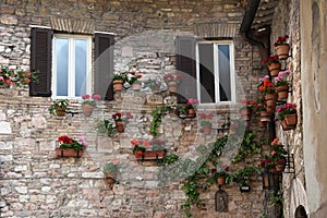 Facade decorated with a lot of flowerpots