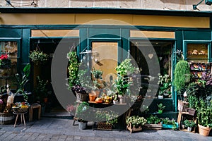 Facade of flower shop with various different types of plants on display