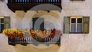 Facade with flowers, Nova Levante, Italy