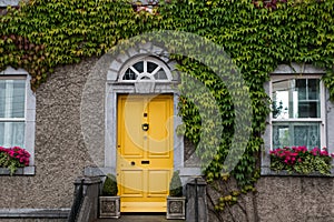 Facade of house braided with ivy and yellow door