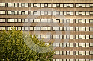 Facade of a huge building with a lot of windows and a single green tree in Frankfurt am Main