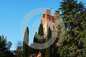 Facade of medieval tower and trees, Castelfranco Veneto