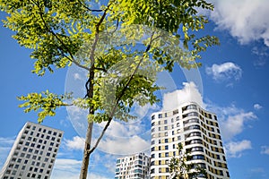 Facade of modern residential towers in a green environment, sustainable buildings