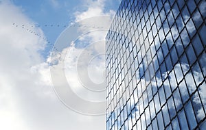Facade of modern skyscraper with reflection of cloudy sky and a flock of birds, low angle shot, copy space