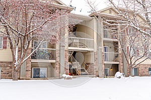 Facade of multi story residential building framed with leafless trees in winter