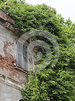 Facade of an old damaged house surrounded by vegetation