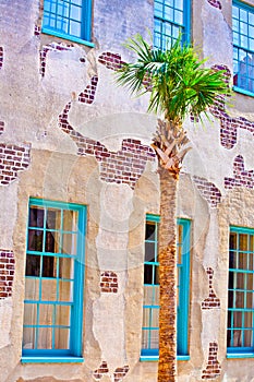 Facade of old historic house with palm tree