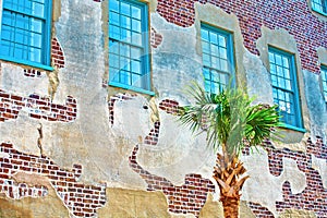 Facade of old historic house with palm tree