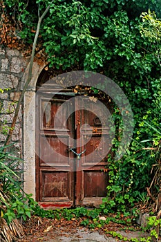 The facade of an old rusty door, overgrown with a beautiful green arch