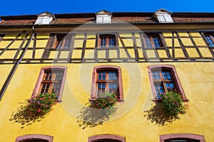 Facade of an old yellow house in Riquewihr / Alsace / France